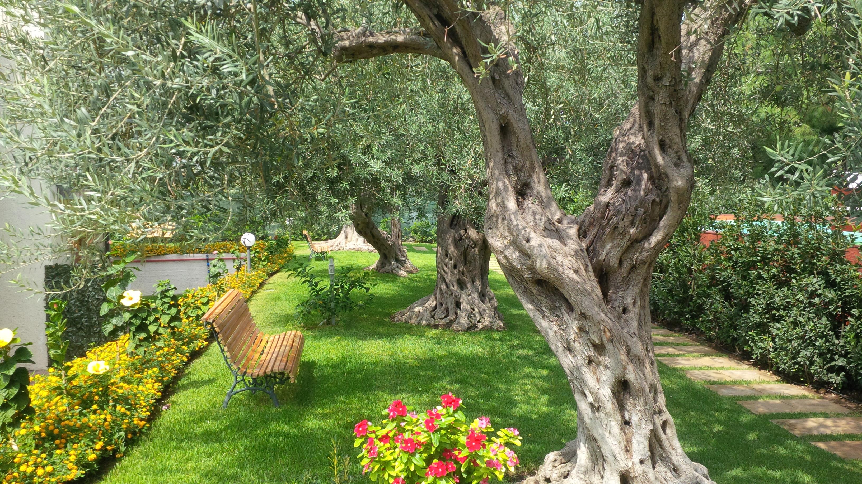Villa Collina Giardini Naxos Exterior foto